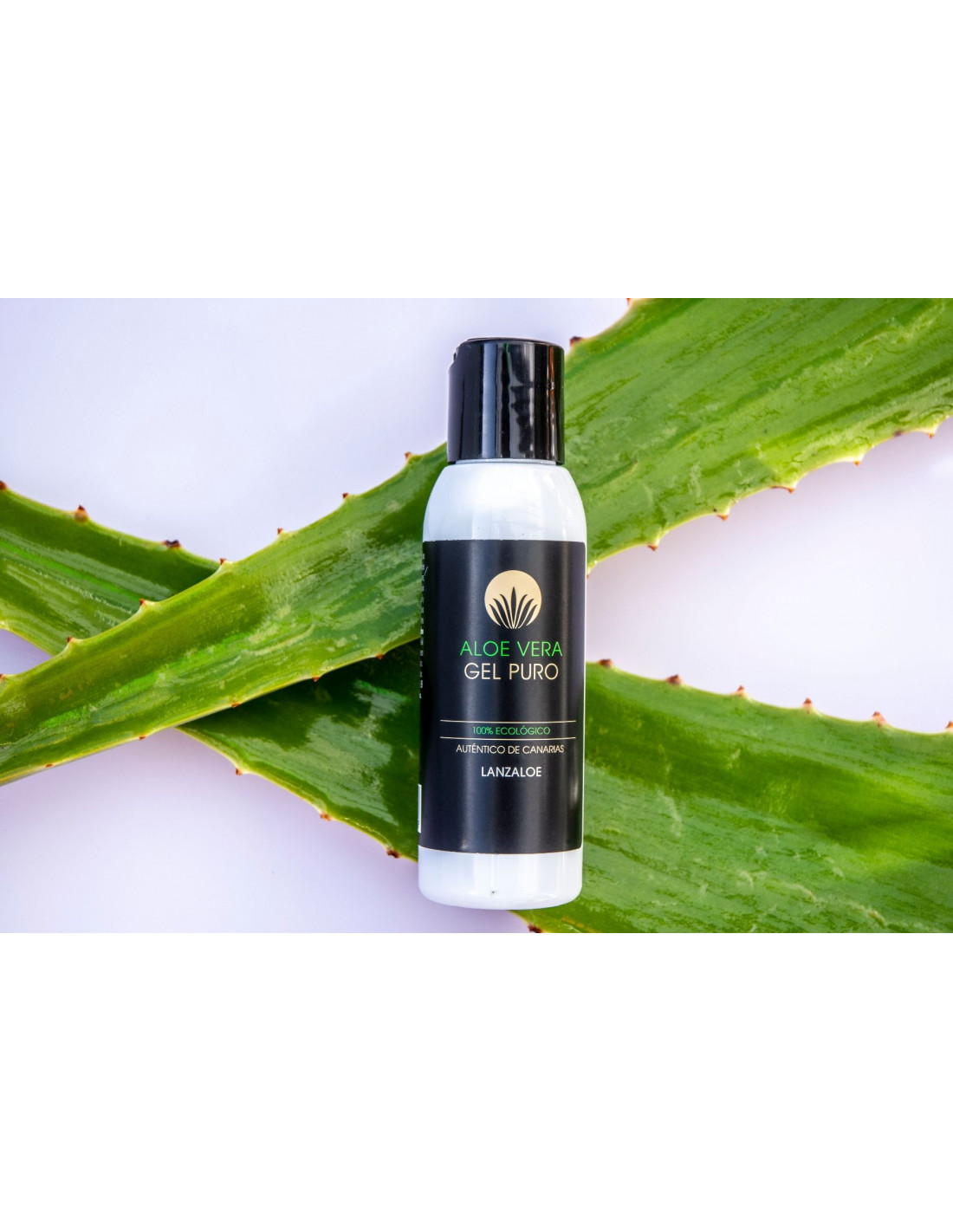 aloe vera öl wirkung haut Aloe Vera After Sun Oil main image 0