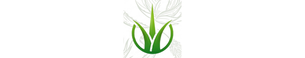 Vinoterapia