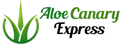 Aloe Canary Express